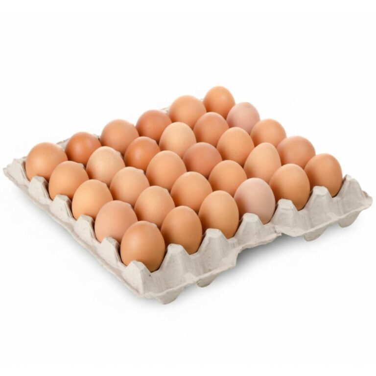 CARTON DE HUEVOS 30 UND TIPO A TUNAL DA