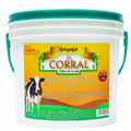 AREQUIPE EL CORRAL 500GR FLOWER