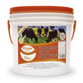 AREQUIPE 10KG FLOWER DECORACION